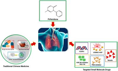 Editorial: Applications of medicine in treating pulmonary fibrosis